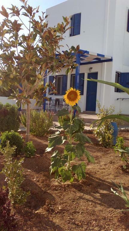 Ninemia Studios Serifos Island Экстерьер фото